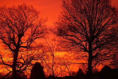 Silhouette of bare trees against sky at sunset