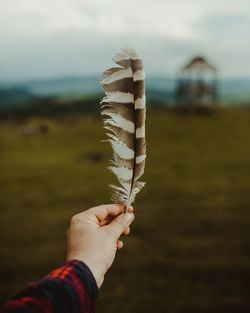 Cropped hand of woman holding feather against cloudy sky