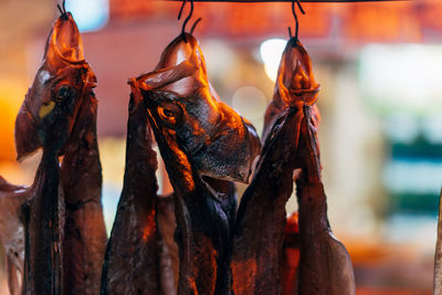 Close-up of meat hanging at butcher shop