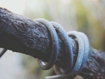 Close-up of rope