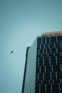 Low angle view of birds flying against clear sky