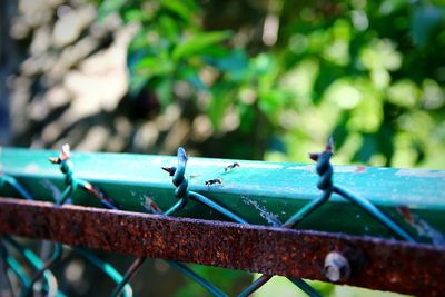 Close-up of rusty metal