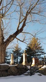 Low angle view of bare trees against sky