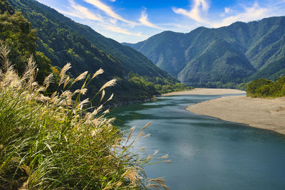 Clear stream of shimanto river 