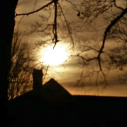 Bare trees against sky at sunset