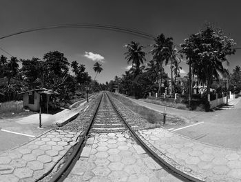 Railroad tracks by palm trees against sky