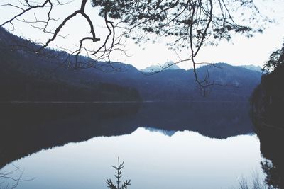 Reflection of trees in lake against sky