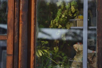 Close-up of rusty glass window