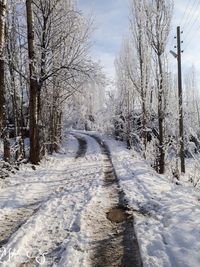 Snow covered road amidst bare trees during winter