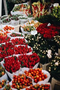 Close-up of flowers in market for sale