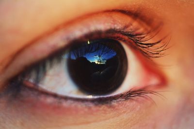 Extreme close-up of human eye