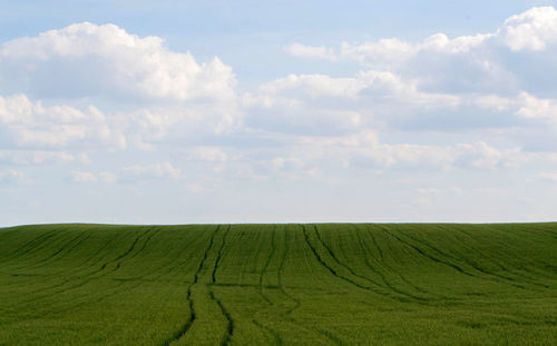 Scenic view of agricultural field against sky