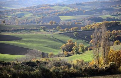 Aerial view of rural landscape