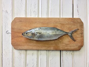 Close-up of fish on wood