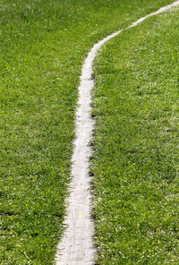 Footpath through a green meadow