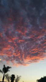 Low angle view of silhouette trees against sky at sunset