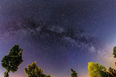 Low angle view of starry sky