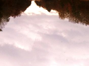 High angle view of trees on land against sky