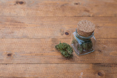 Close-up of herb in glass bottle on table