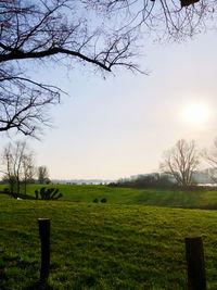 Scenic view of grassy field against sky