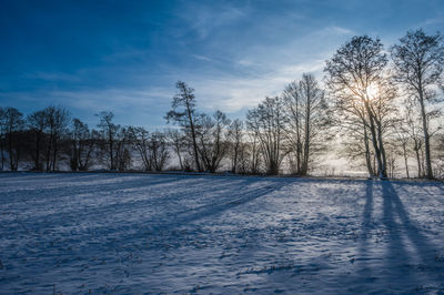 Trees in frosty landscape with rime frost, denmark