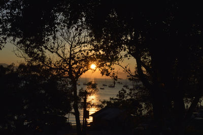 Silhouette trees by lake against sky during sunset