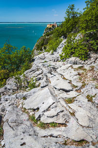 Plants growing on rocks by sea against sky