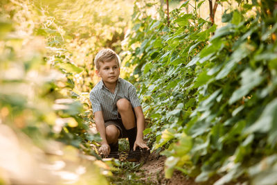 Happy boy against plants