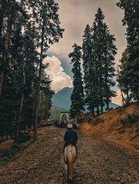 Rear view of man walking on road