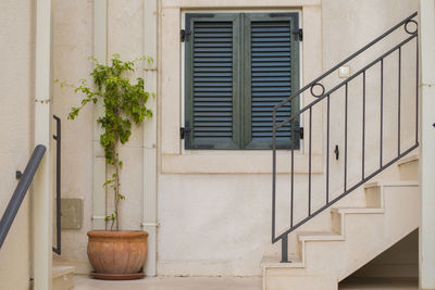 Potted plant on staircase of building made of stone