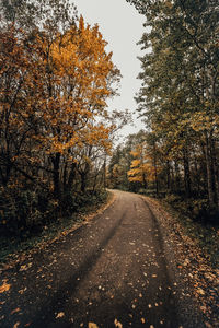 Road amidst trees during autumn