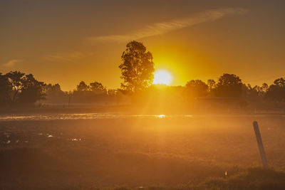 The sunrise in the rice field in winter, roi et, thailand