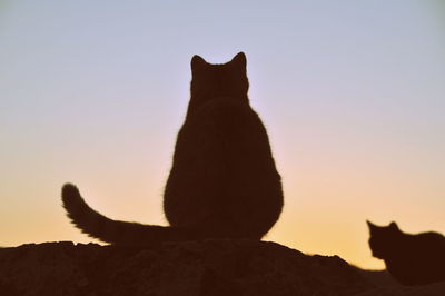 Silhouette cat sitting against clear sky
