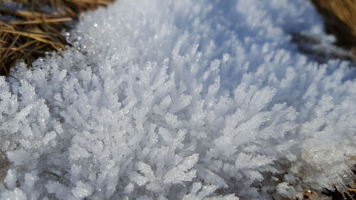 Close-up of frozen water