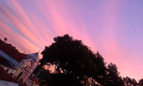 Low angle view of silhouette tree against sky during sunset