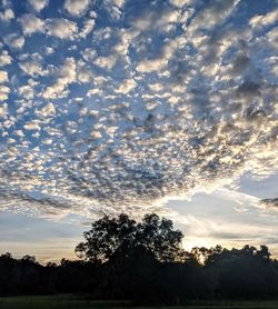 Low angle view of silhouette trees on field against sky