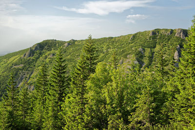 Scenic view of green landscape against sky