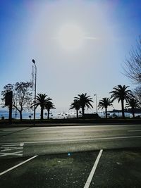 Palm trees against clear sky