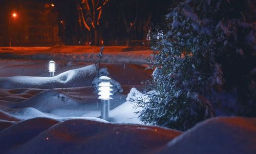 Close-up of illuminated christmas tree during winter