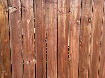 Close-up of wooden plank