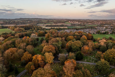 High angle view of trees on landscape against sky