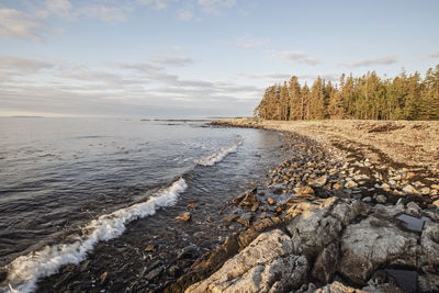 Waves lap against rocky coast at sunrise, acadia national park, maine