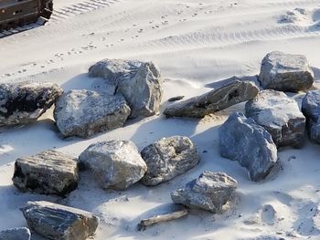 Scenic view of snow