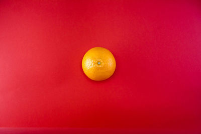 Close-up of orange fruit against red background