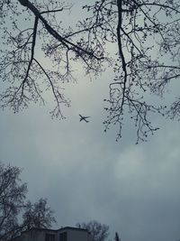 Low angle view of birds flying against sky