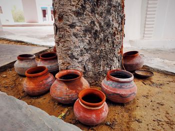 Close-up of objects on tree trunk