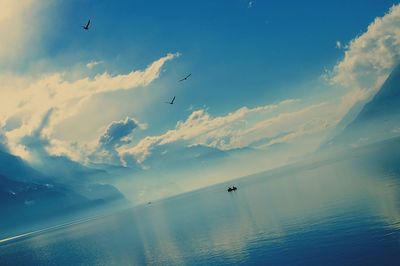 Birds flying over sea against sky