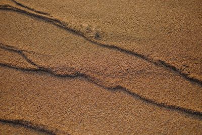 Full frame shot of tire tracks on desert