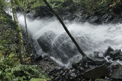 Scenic view of waterfall