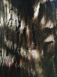 Full frame shot of cave